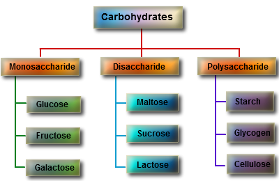 Carbohydrate Chart
